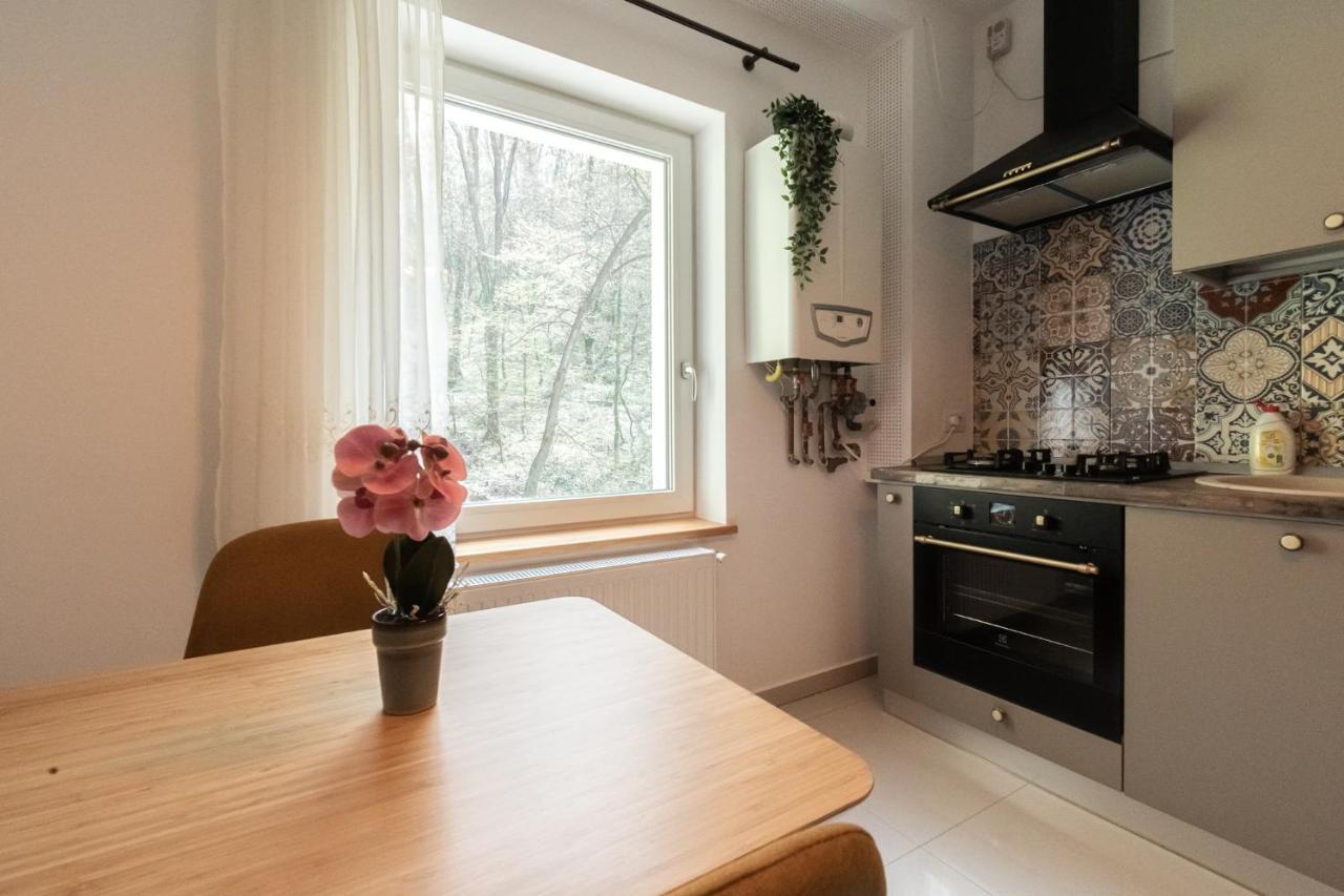 Nature Apartment - Minutes Away From The Old Town And Afi Mall Брашов Екстериор снимка